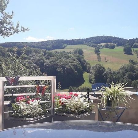 Gite Moderne Proche De Kaysersberg Av Jacuzzi Prive Орбе Экстерьер фото